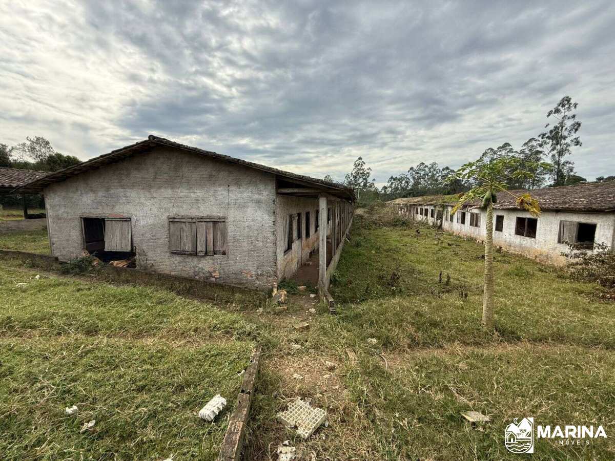 Fazenda à venda em Orleans, SESMARIA, com 5 quartos, 10,3ha